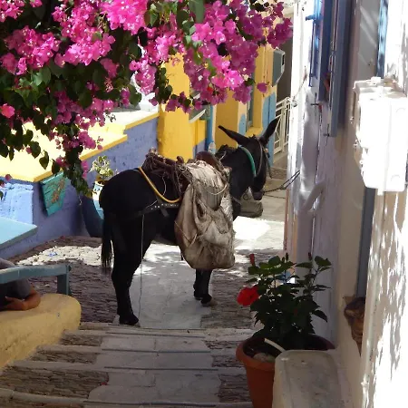 ατελιου Vari (Syros)